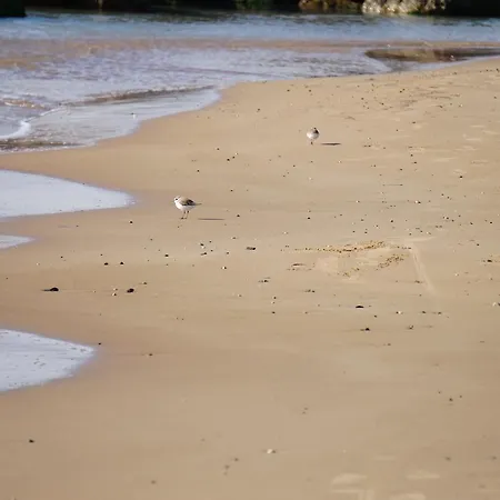 Vendégház Sottovento Playa Donnalucata